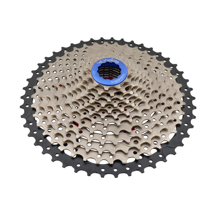 Mikhailove Mtb 12 Speed Cassette 46-t top view